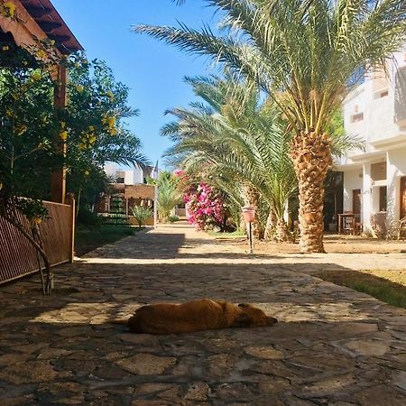 Jowhara Hotel Dahab Eksteriør billede