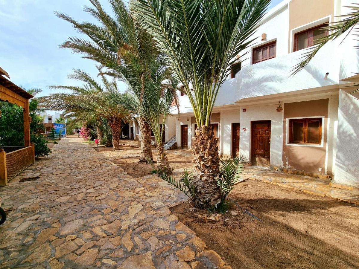 Jowhara Hotel Dahab Eksteriør billede