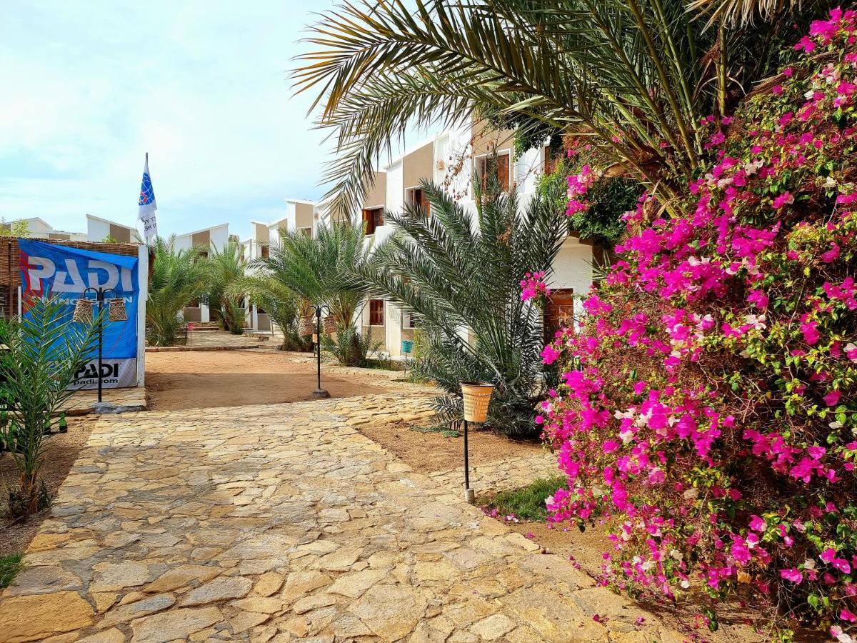 Jowhara Hotel Dahab Eksteriør billede