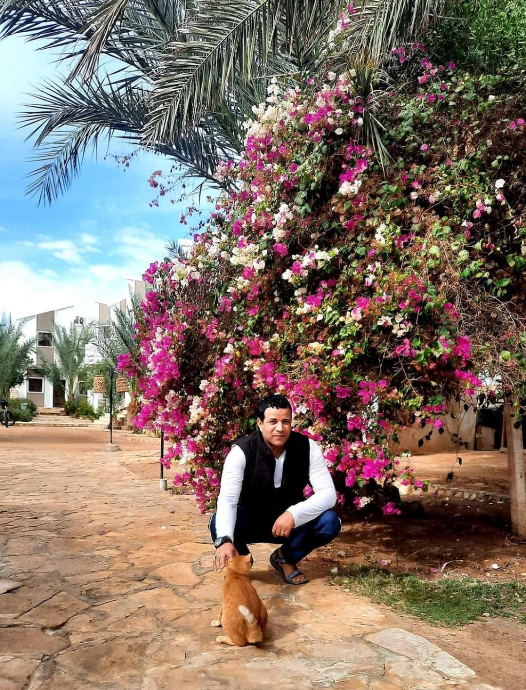Jowhara Hotel Dahab Eksteriør billede