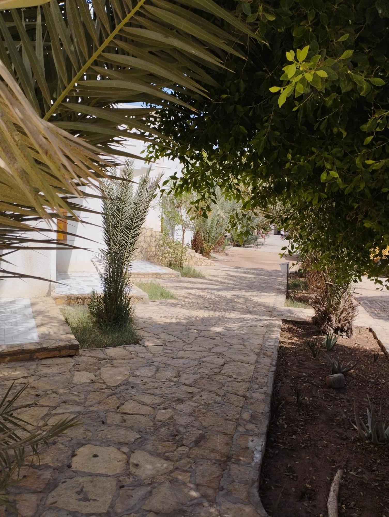 Jowhara Hotel Dahab Eksteriør billede