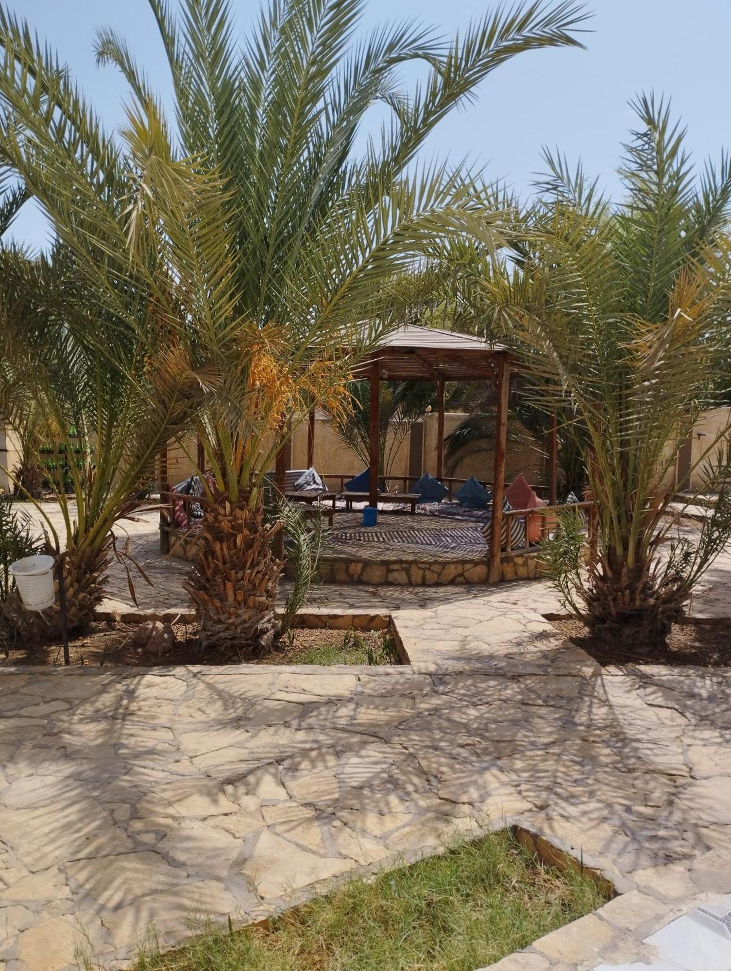 Jowhara Hotel Dahab Eksteriør billede
