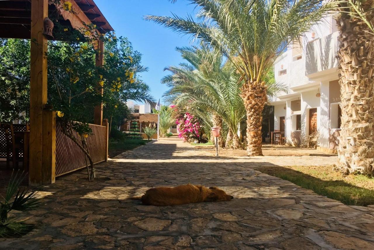 Jowhara Hotel Dahab Eksteriør billede